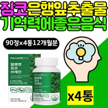 GINKGO 징코 은행잎추출물 혈행 기억력에 좋은 음식 에너지 혈액 생성 누트로픽 할머니 할아버지 두뇌건강 머리에좋은 플라보놀배당체 뼈형성 퀘르세틴 케르세틴 비타민B컴플렉스 미네랄