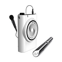 빅보스 GPX-20 강의용마이크 무선 2.4 레이저포인터 30와트