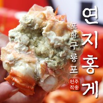[구룡포 오늘바다]포항 제철 홍게 10마리 3KG 고급형 박달 붉은대게 수율보장, 고급형 홍게 3KG (9-11마리)