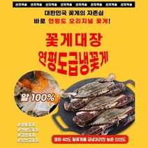 꽃게대장 연평도 꽃게 냉동꽃게 암꽃게 숫꽃게 제철, 숫게 5kg