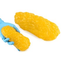 지방덩어리 인체 모형 비만 교육용 다이어트 시각자료, 1파운드 길고 뚱뚱한 모델(베이스 포함)