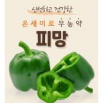 [무농약인증받은] 피망 3KG5KG, 5KG