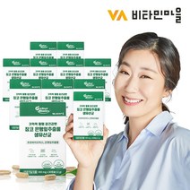 비타민마을 퍼펙트바이오틱스 기억력 혈행 장건강엔 징코 은행잎추출물 생유산균 30캡슐 X 40박스, 30정