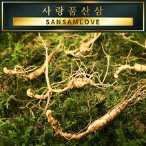 사랑품산삼 산양산삼 산양삼 장뇌삼 8-20년근 자연산 모양 산삼사랑, 04번_산양삼 8~9년근 20뿌리