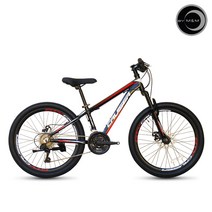 씨티크루저 CM24, 블랙