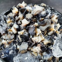 [산지직송] 국내산 왕 논 우렁이 섬진강 우렁이살, 우렁이 1kg(순우렁살700g 물300g)