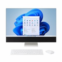 LG전자 27V70Q-GA70K (WIN11홈 / 12세대) 일체형PC + SSD 500GB 추가