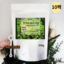 네덜란드 프락토올리고당 분말 신 프리바이오틱스 유산균분양 갈락토올리고당 이눌린 500g10팩