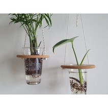 고래상사 업사이클링 코르크 공중 행잉 화분 걸이 코르크 플랜터 아이스커피컵 수경 식물