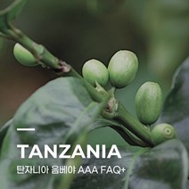 [생두] 탄자니아 음베야 AAA FAQ+ 1kg