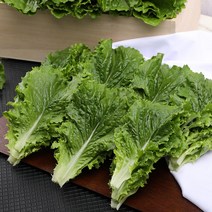 마켓림 순창 산지직송 잎 로메인 청 상추 1kg, 1개