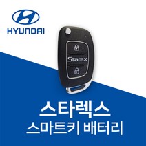 스타렉스 스마트키 배터리 키 건전지 밧데리 차키 베터리 키 약, 10개