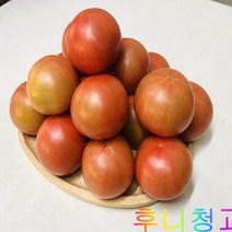 후니청과 신선한[특품]완숙 찰토마토(동양종), 1box, 2.5kg(5번)동양종