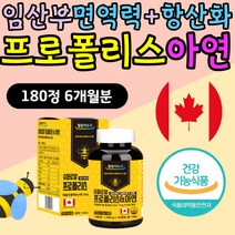 임산부 면역력 항산화작용 캐나다 프로폴리스 아연 항산화 영양제 음식 식품 수유부 임신중 초기 중기 면역력높이는 캐나다 폴리폴리스 프로플러스 PROPOLIS 플로폴리스 30대 40대