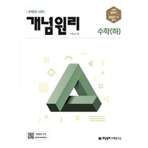 개념원리 고등 수학(하)(2022):하나를 알면 10개 20개를 풀 수 있는 개념원리수학, 수학영역