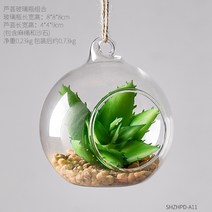 인테리어 유리화병 행잉유리볼 행잉플랜트 테라리움 다육이화분, 유리병+알로에베라