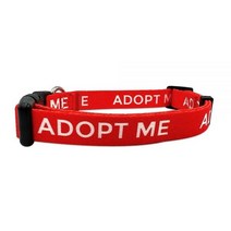 Adopt Me 개 목걸이 - 소형 중형 대형견 고양이를 위한 친절한 사이트 도그 (M 레드) 663981