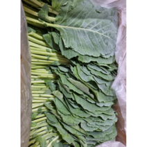 국산 유기농 케일 1kg 즙용 친환경 무농약 녹즙재료 국내산 쌈채소야채 쌈 채소 야채 신선한 싱싱한 즙케일 녹즙용, 1개