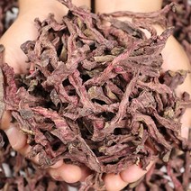 제천 월악산 건비트 말린 비트 영양야채 산지직송, 1kg