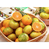 금귤 산지직송 새콤달콤 제주 하우스 감귤 2.5kg