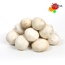 국산 못난이 양송이 버섯 1kg 주문확인 후 당일 수확 발송 (화 목) 충남 부여 석성