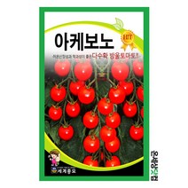 아케보노 30립 / 토마토씨앗 토마토씨 방울토마토 씨앗 방울토마토 키우기