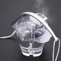 식당종업원 조리사 투명 위생마스크 위생용품, 투명위생마스크 1Box 10개