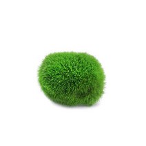 3-4cm 마리모 이끼 공 살아있는 수족관 식물 조류 물고기 새우 탱크 시뮬레이션 녹색, 01 1PC