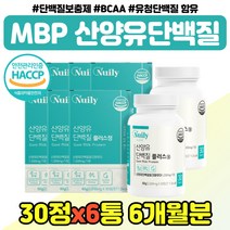 네덜란드 산양유 우유 단백질 시니어 할머니 선물 식약처인증 수입 프로틴 엠비피 BCA 정 어르신 여성 WPI 보충제 산양 단백 분말 어른 분유 30대 40대 남성 장모님 장인어른, 산양유단백질 정제 x6통