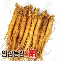 더굿진생 금산 인삼 수삼 햇 정품원수삼 350g, 1개, (세척안함)알뜰형 350g(17~20뿌리)