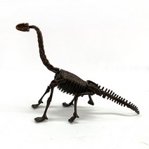 공룡뼈 퍼즐, 1개, 트리케라톱스