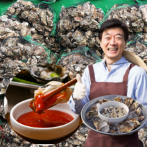 먹사부 통영 석화 굴 하프셀 석화 회 횟감 생굴 가리비 모듬 캠핑 찜 조개구이 세트 국내산 직거래 4kg 5키로 8kg 10kg, F. [세트] 석화[4kg]+뿔소라[4kg]