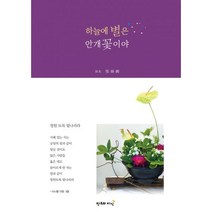 하늘의 별은 안개꽃이야, 창조와지식(북모아), 장연주 (지은이)