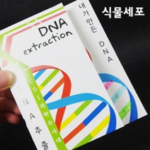 실험 상자 과학 키트 식물세포 DNA 추출법 10인용 과학키트/과학실험/과학상자/과학실험도구/과학실험키트초등과학실험키트/학습교구/교구/과학교구/과학놀이, 단일 수량