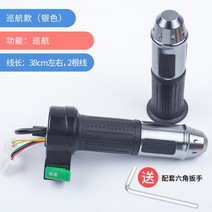 전동차 이적 손잡이 전기 마모 부품 가속기 삼속 후진 핸들스틱 두바퀴 삼륜 통용 2598587610, 실버 스타일 순항