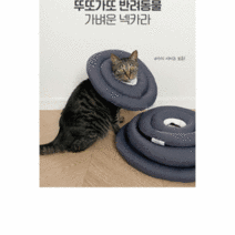 동물병원 납품 고양이 강아지 UFO 넥카라 방수 4size 선택가능, 네이비