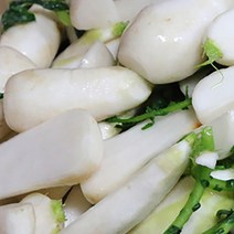 강원도 고랭지 알타리절임 5kg 10kg 세척 총각무 절임 발송중
