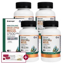 뉴질랜드 초록홍합 17500 고함량 초록입홍합 + 사은품 증정, 100캡슐 x 4박스 (400일분)