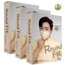 라이브잇 이로와프리즘방역마스크(KF94)(대형)(연한황색), 연한황색, 24개, 10개입