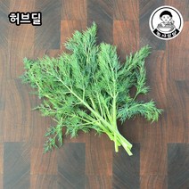 [농사임당] 식용허브 허브티 요리용 허브딜 생잎 50g/100g, 100g