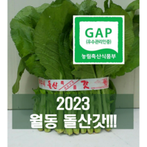 류가네 여수 돌산갓 5kg 10kg(무료배송) GAP 인증, 1box, 10kg