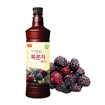 광야 복분자베이스 970ml 21년12월11일까지