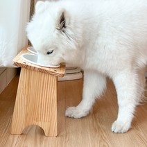 대형견 밥그릇 강아지 식탁 애견 고양이 수반 오일코팅 식기 2구, 대형견 오일코팅 식기 1구, 13cm