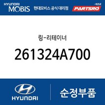 링-리테이너 (261324A700) 쏠라티 쏠라티 특장