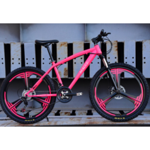 30만원대 로드 자전거 24인치 26인치 도로 스포크, 21단/실버 - 스포크 휠/24인치