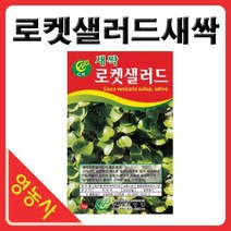 새싹로켓셀러드씨앗- 새싹무순 로켓셀러드씨 새싹씨앗 싹채소키우기 어린채소씨앗 학습용 사계절용 재배, 베이비적겨자