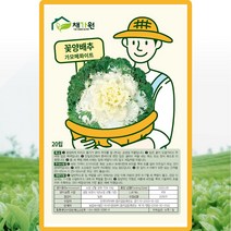 꽃양배추가모메화이트 씨앗 꽃양배추 씨 종자 20립, 단품