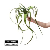 틸란드시아 베란다 대형 정원 그린 인조 인테리어 세로그라피카 조화 플랜테리어 식물 에어플랜트 벽걸이, FH13-13 춘색