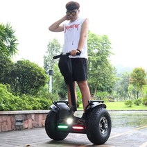 나인봇 두발전동휠 전동 출퇴근 투휠전동보드 힐리스 미니 성인 왕발통 퀵보드 이륜 두발킥보드 36V, 블랙19인치