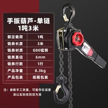 G80 망간체인 레버블럭 0.75T1/2/3/6/9톤 쉐이크 견인 플레이트 호이스트 텐셔너 수동 후진 체인, 1 톤 3 미터